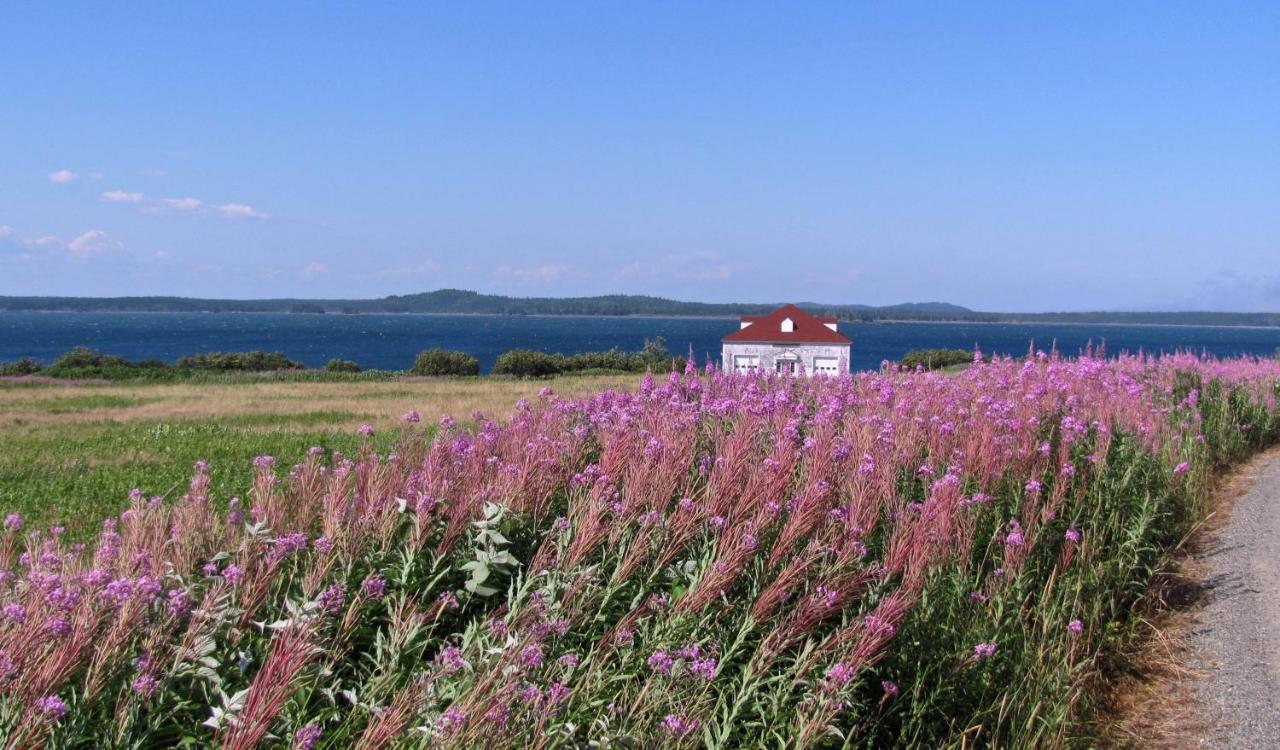 West Quoddy Station Llc Hotel Lubec Eksteriør billede